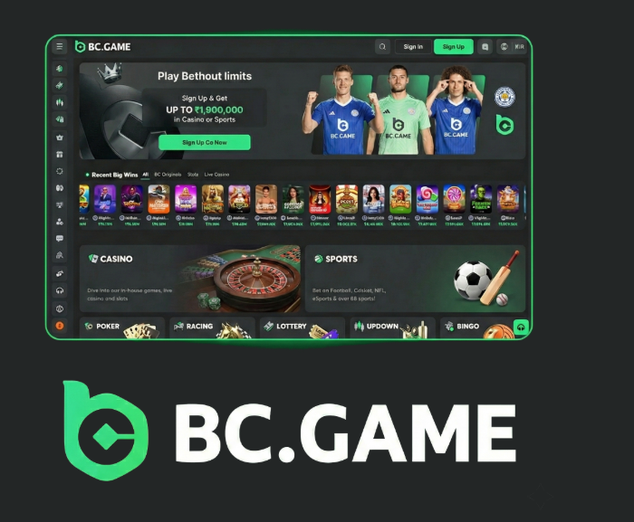 Exploring BC.Game The Rising Trend in India